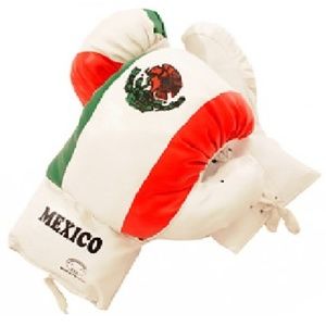 Mexican Flag Boxing Gloves 18 oz Last Punch